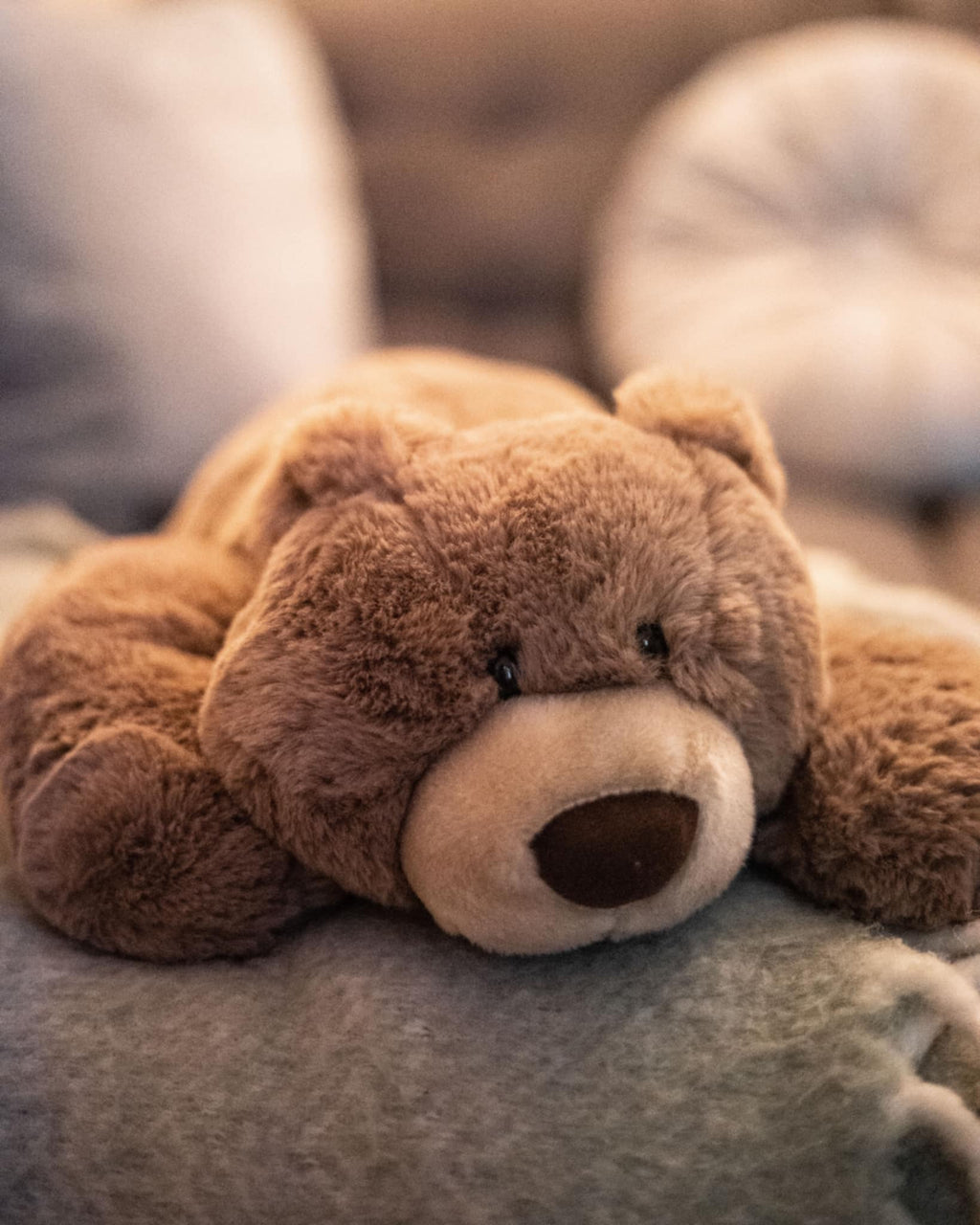 Björnen Gustav viktad 1,6 kg för sensorisk stimulans