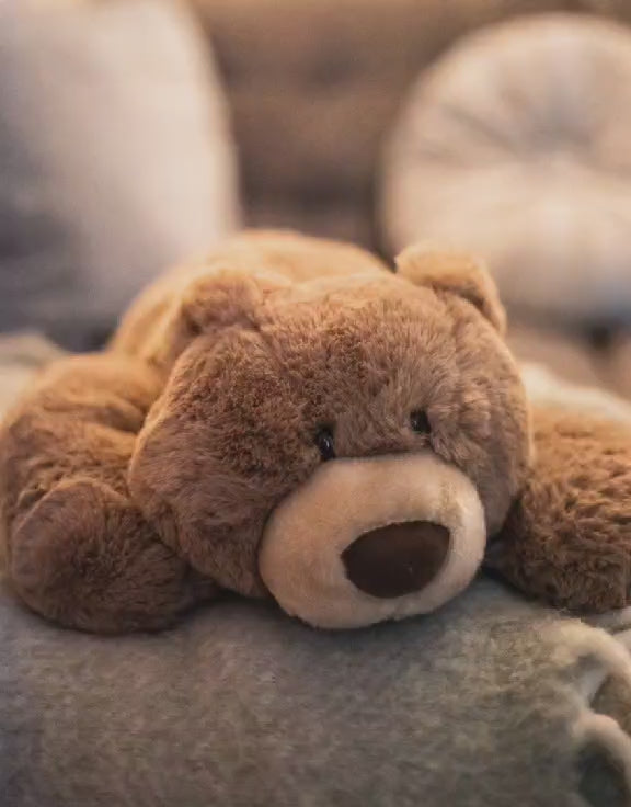 Björnen Gustav viktad 1,6 kg för sensorisk stimulans